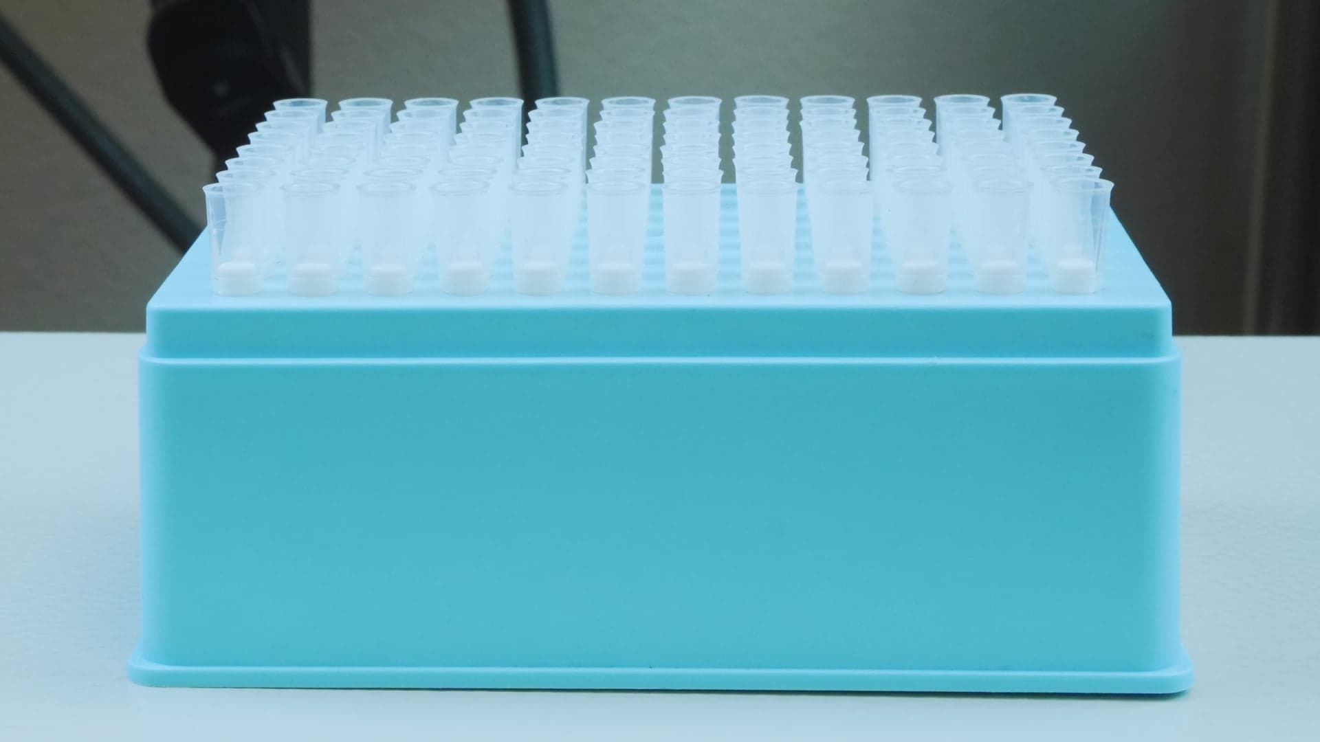 Standard tip racks loaded with disposable tips